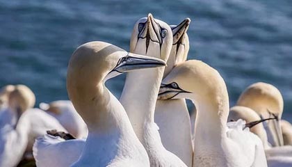 乐鱼体育-九游体育：在数字竞技时代点亮热爱与信任的灯